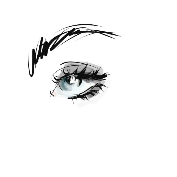 Vector illustration of Hand drawn beautiful woman's eye with long eyelashes