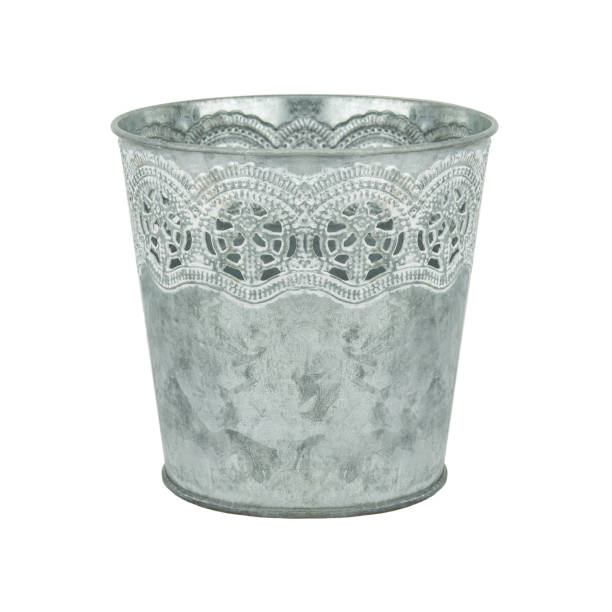 istock Flowerpot isolated against white background 1137913070