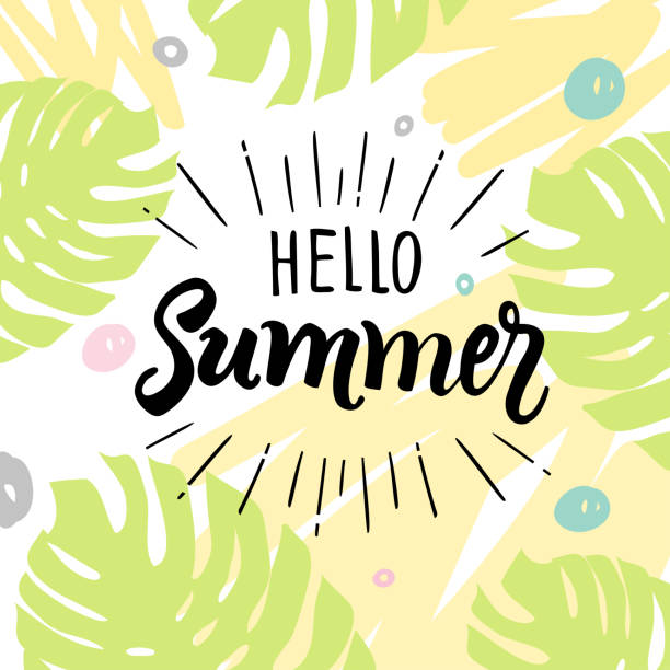 Lettrage de type manuscrit de Hello Summer - Illustration vectorielle