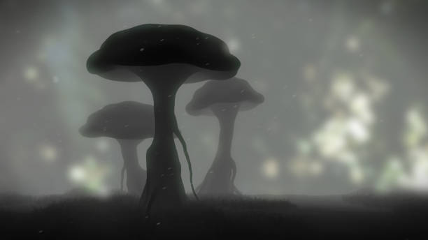 mushrooms in magical foggy landscape at dawn
