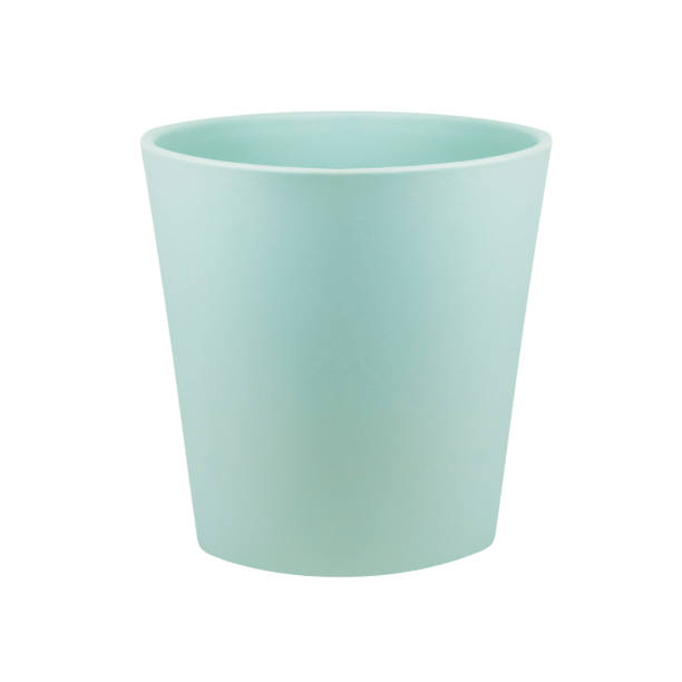 istock Flowerpot isolated against white background 1137915921