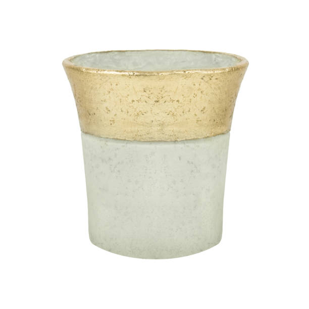istock Flowerpot isolated against white background 1137917611