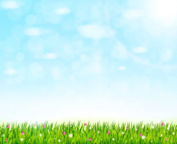 Vector illustration of Nature background with green grass and flowers. Vector illustration