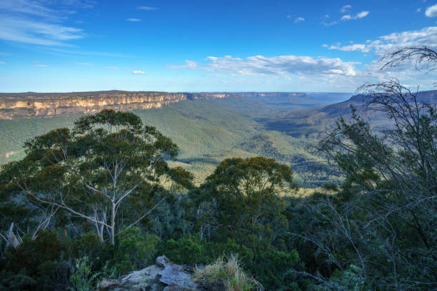 istock sublime point lookout, blue mountains, australia 8 1137921169