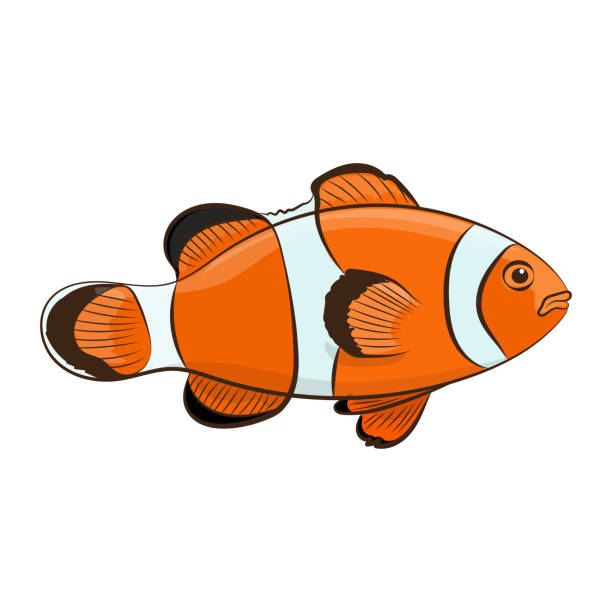 Vector illustration Clown fish. Vector illustration. cartoon of fish with lips stock illustrations