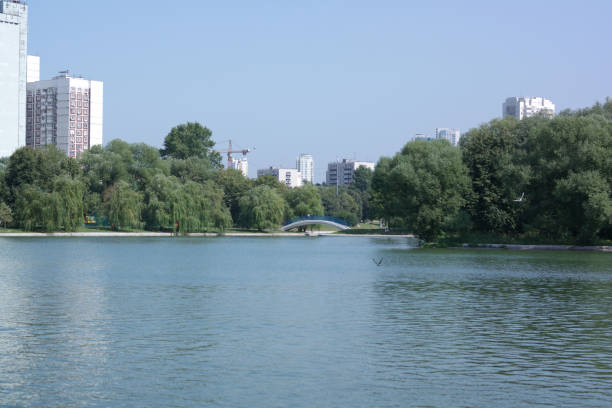 istock summer in city park 1137922194