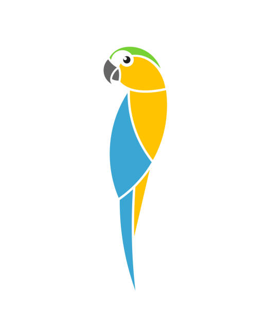藍色和黃色的金��剛鸚鵡。熱帶鳥類。被隔絕的鸚鵡在白色背景 - 金剛鸚鵡 幅插畫檔、美工圖案、卡通及圖標