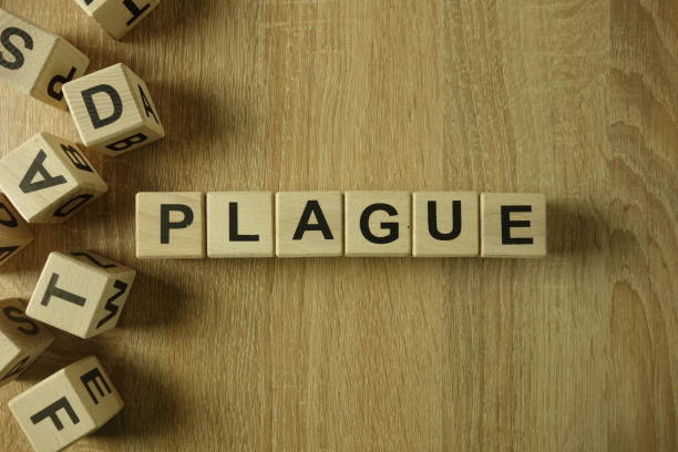 istock Plague word from wooden blocks 1137923485