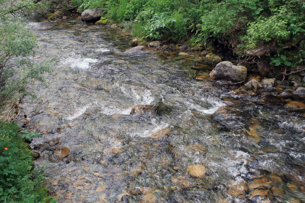istock The mountain stone river in the forest. 1137925426