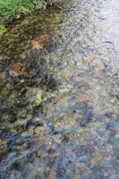 istock The mountain stone river in the forest. 1137925780