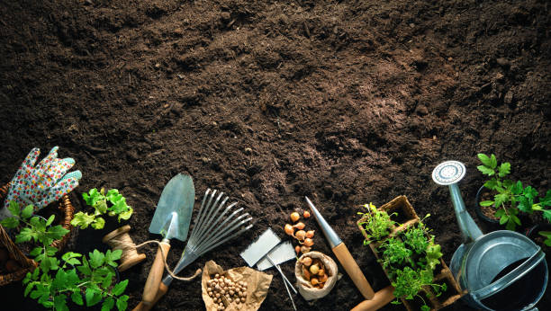 herramientas de jardinería y plántulas en el suelo - artículos de jardín fotografías e imágenes de stock