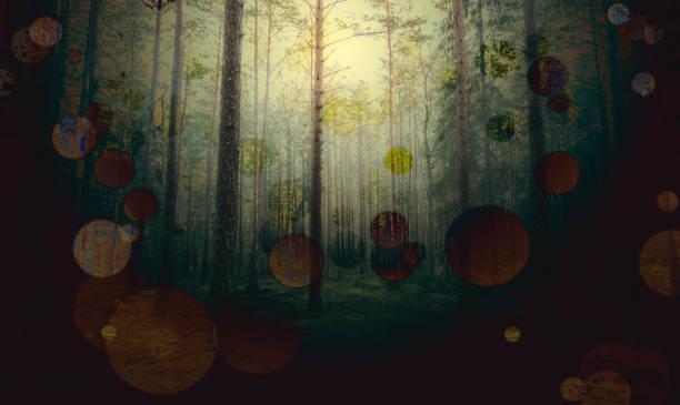 istock Abstract foggy forest at night. 1137928065