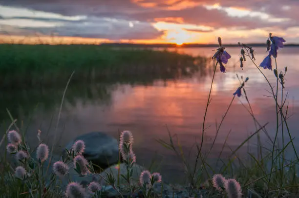 Beautiful landscape: gorgeous summer sunset with majestic reflexion of clouds at Vanern Lake near Mariesta and Torso in Sweden taken august 6th 2016