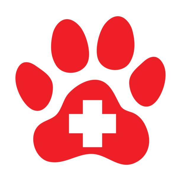 ilustraciones, imágenes clip art, dibujos animados e iconos de stock de animales domésticos primeros auxilios. símbolo veterinario. - clínica veterinaria