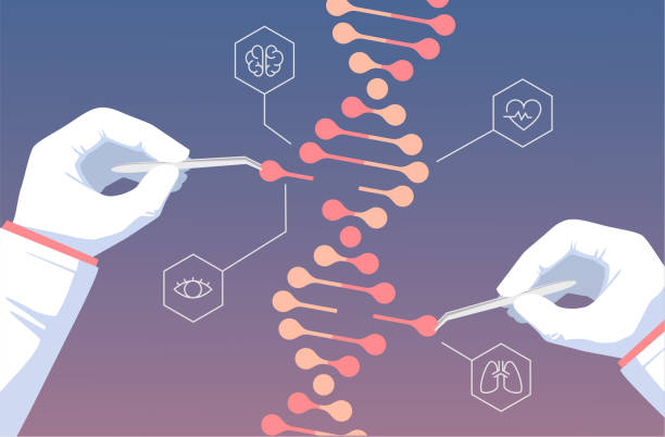CRISP-CAS9 - Genetic Engineering CRISPR CAS9 - Genetic engineering. Gene editing tool research illustration genetics stock illustrations
