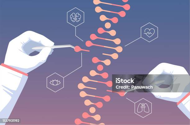 Crispcas9 Genetic Engineering Stock Illustration - Download Image Now - DNA, CRISPR, RNA