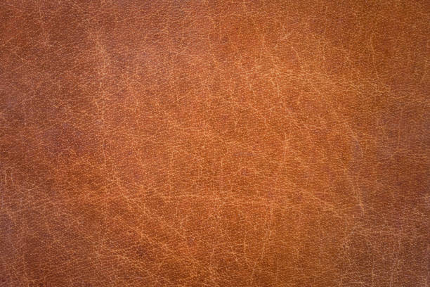 정품 가죽 질감 - textured textured effect hide leather 뉴스 사진 이미지