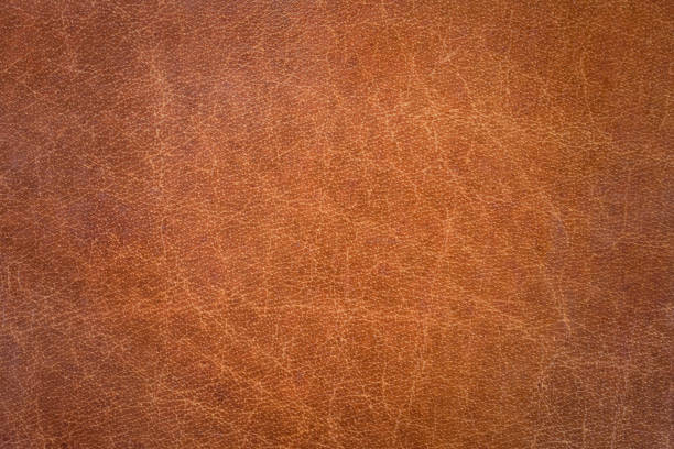 textura de couro genuíno - textured textured effect hide leather - fotografias e filmes do acervo