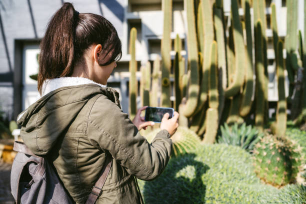 istock Photographing cacti in a park 1137934206