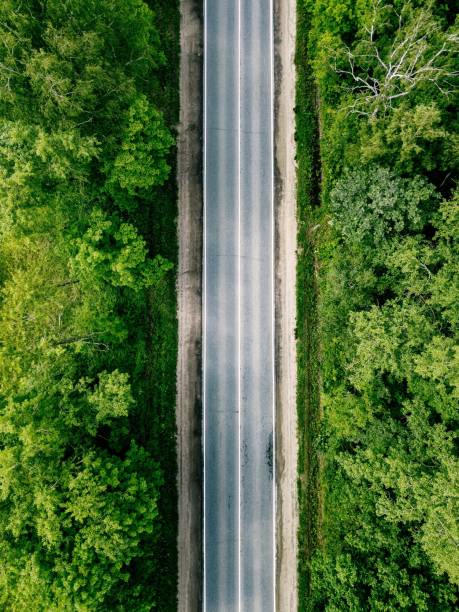 istock Aerial view of empty road going through green forest. 1137934363