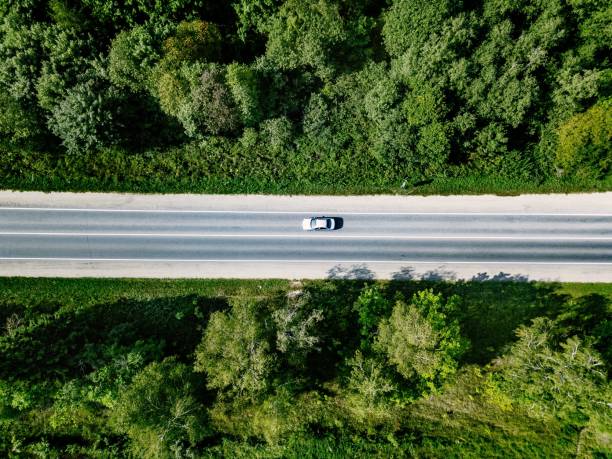 istock Aerial view of road with car going through green forest. 1137934430