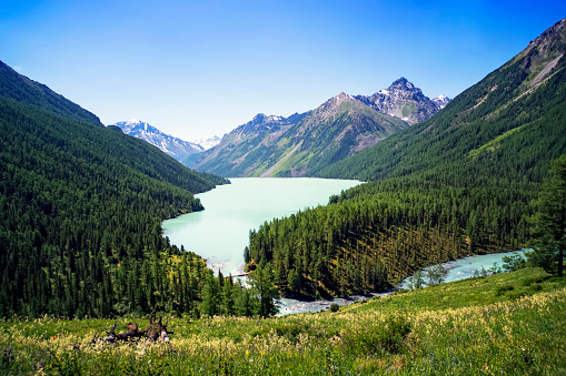 Hồ Kucherlinskoe Quan Điểm Rộng Altai Liên Bang Nga Phong Cảnh Đẹp Mà Không  Có Người Hồ Núi Xanh Tuyệt Đẹp Nằm Giữa Những Ngọn Núi Hình ảnh Sẵn có - Tải