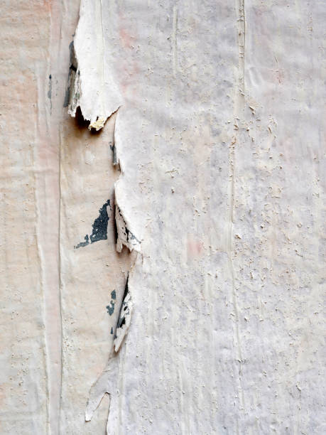 istock Poster Background,Old torn posters grunge textures and backgrounds,Blank old ripped torn crumpled posters grunge textures backgrounds, 1137935738