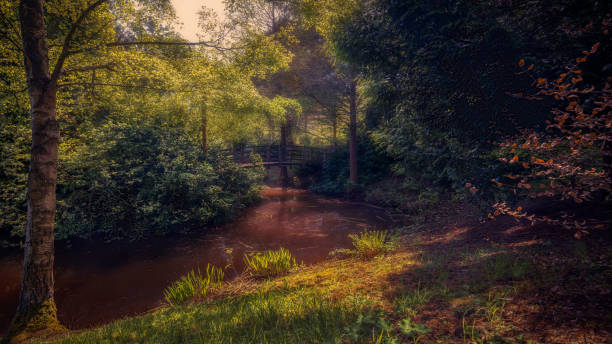 One of the many locations at Bodenham Arboretum.