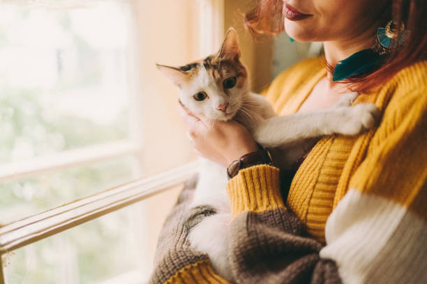 istock Girl with cat standing near the window 1137940708