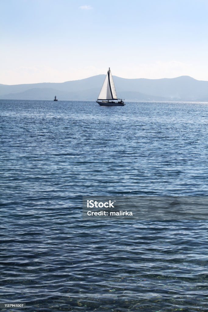 Barca A Bianca Nel Mare Adriatico - Fotografie stock e di Acqua - Acqua, Ambientazione Ambientazione tranquilla - iStock