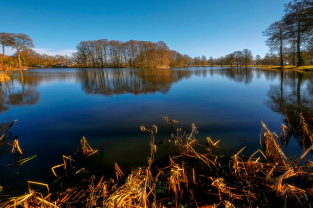istock A small pond and a small water dam, Jantar, Poland 1137943809
