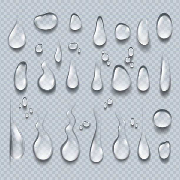 ilustrações de stock, clip art, desenhos animados e ícones de realistic water drops. 3d transparent condensation droplets, bubble collection on clear surface. rain drops vector - water