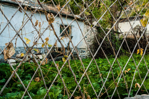 istock Bamboo fence, bamboo guardrail 1137948682
