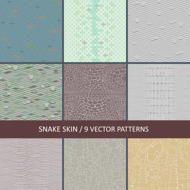 Vector illustration of set of vector seamless snake skin textures