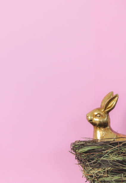 istock Easter Bunny sitting in its nest 1137950835