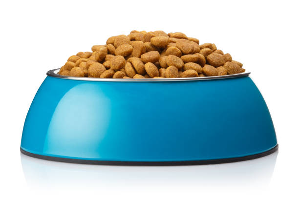 istock Pet food on white 1137952490