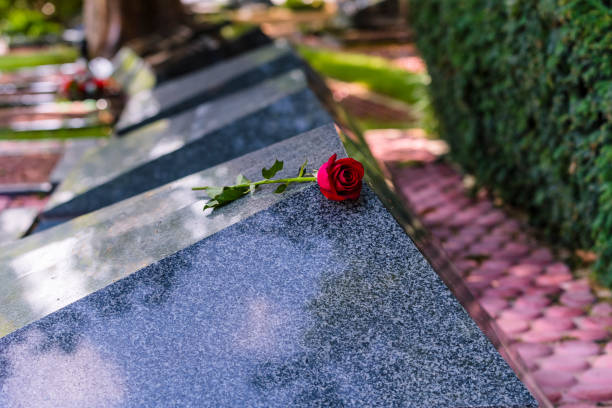 istock Flower On A Grave In A Cemetery 1137952504