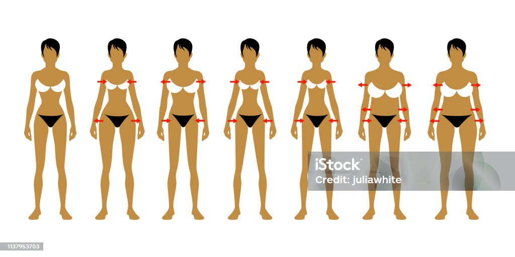 Seven fashion Woman figure type. Seven fashion Woman figure type. Vector image Adult stock vector