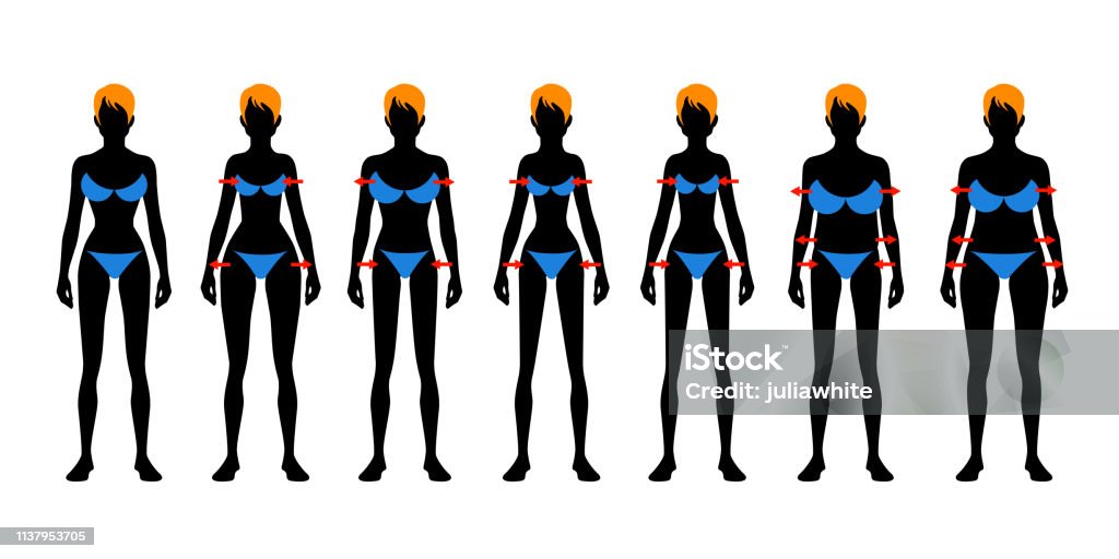 Seven fashion Woman figure type. Seven fashion Woman figure type. Vector image Adult stock vector