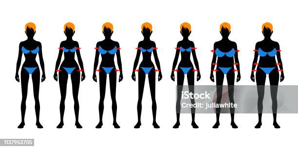 Seven Fashion Woman Figure Type Stock Illustration - Download Image Now - Adult, African Ethnicity, Apple - Fruit