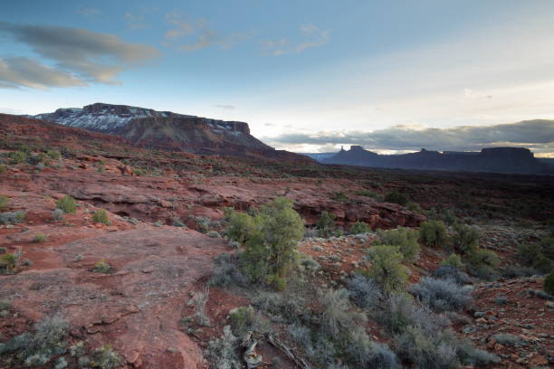 istock Desert scenery, buttes, dry creek, near Moab UT 1137954685