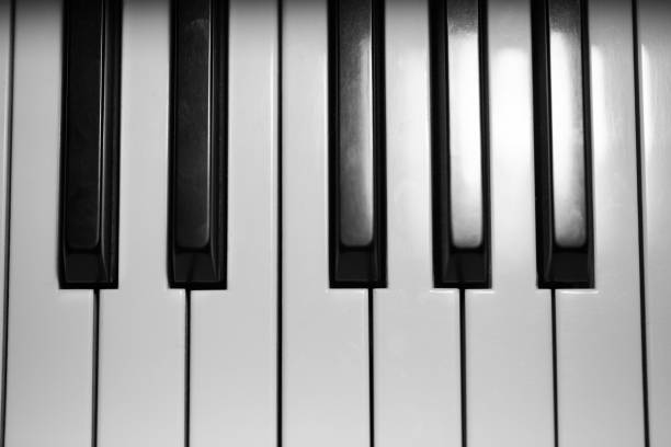 istock keys on grand baby piano 1137955058