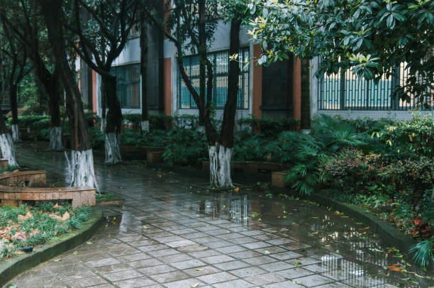 istock pathway or courtyard after raining in dusk, at Chongqing University, China 1137955704