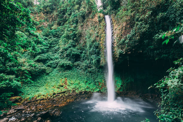 istock waterfall in rainforest of Costa Rica 1137955780