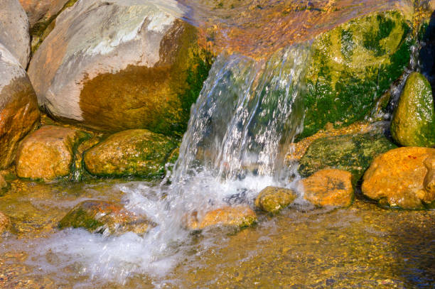 istock Small waterfall on forest river. Small stream with stones and waterfall in sunny weather 1137956891