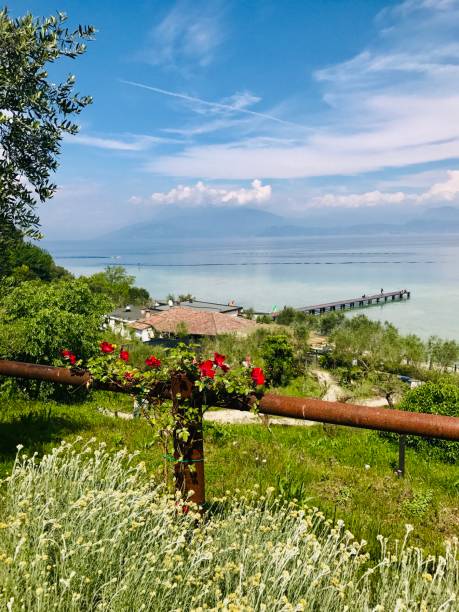istock lake view with flowers 1137957101
