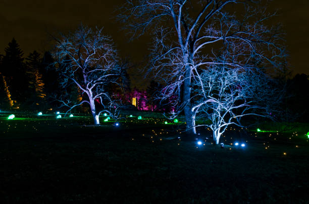 istock Holiday Lights and Ornaments Illuminate Par 1137958528