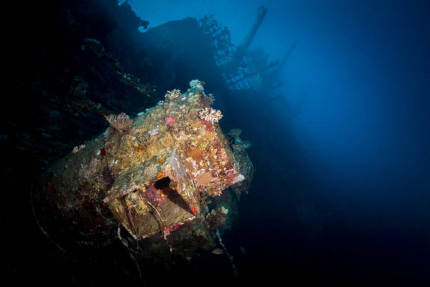 istock sunken Salem Express Wreck in Egypt 1137961999