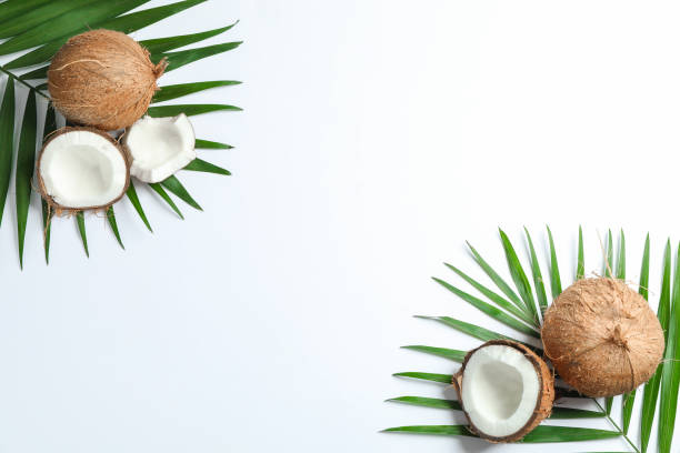 istock Two coconut with palm branch on white background 1137963718