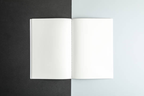 istock Clean copybook on two tone background, space for text 1137965159